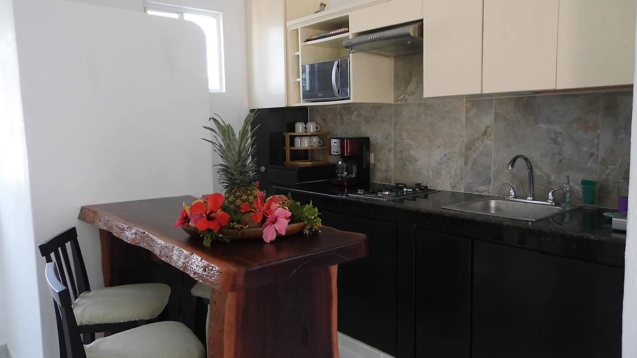 Relaxing Puertomorelos Apartment Puerto Morelos